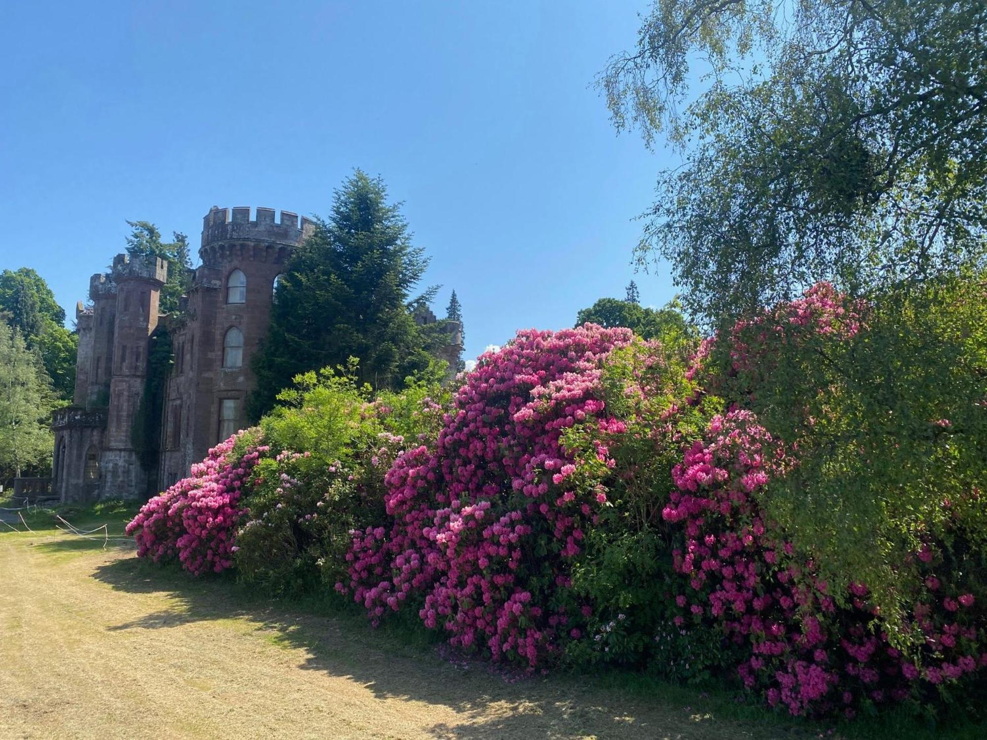 Luxury Woodland Lodge Retreat At Culdees Castle Crieff Zewnętrze zdjęcie